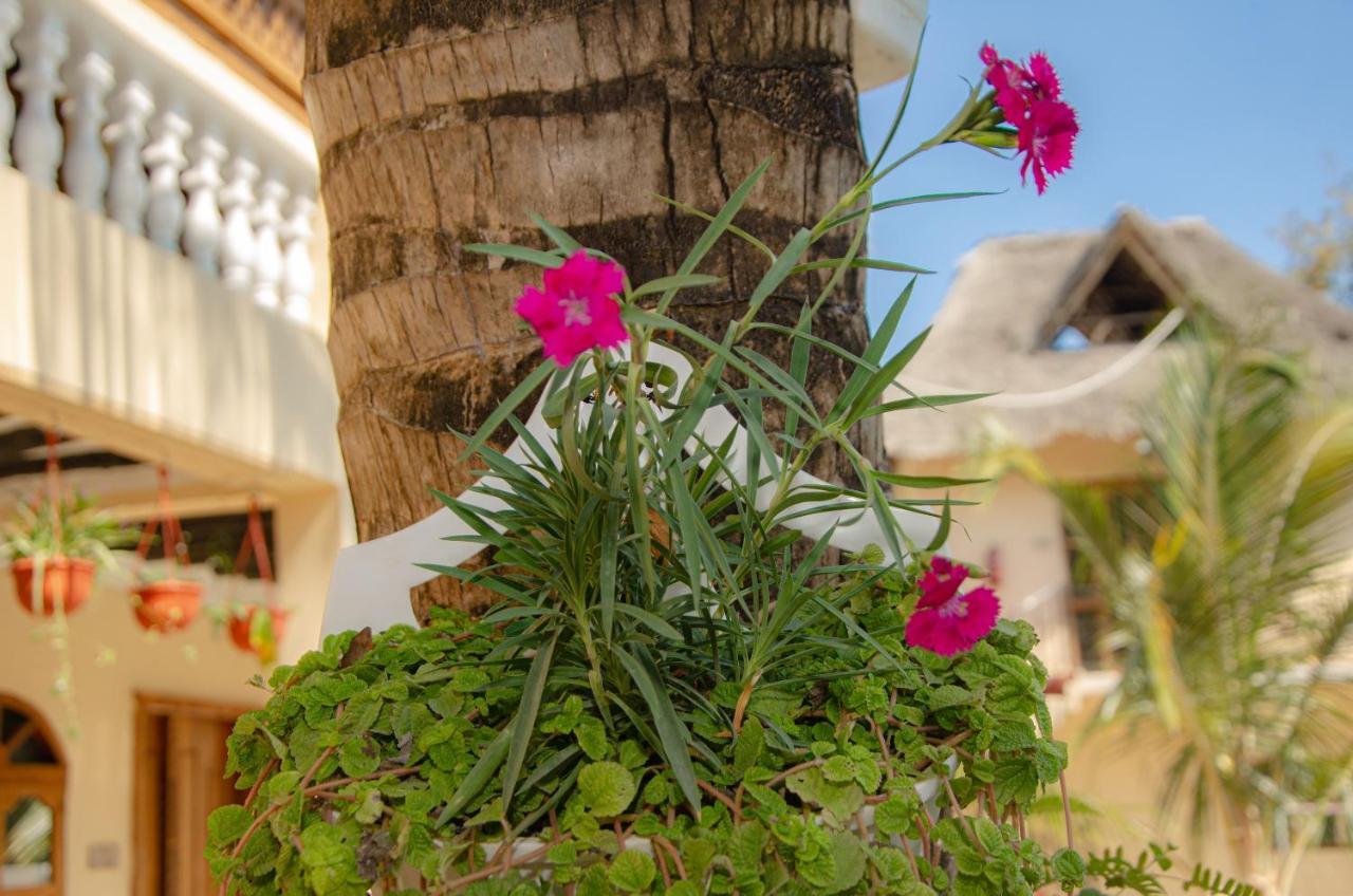 Zanpalm Boutique Hotel Michamvi 外观 照片