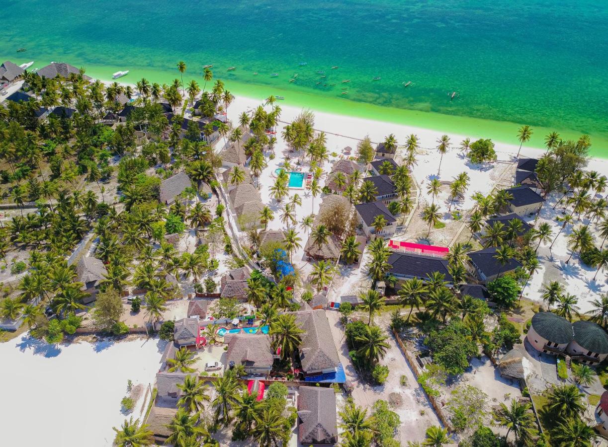 Zanpalm Boutique Hotel Michamvi 外观 照片